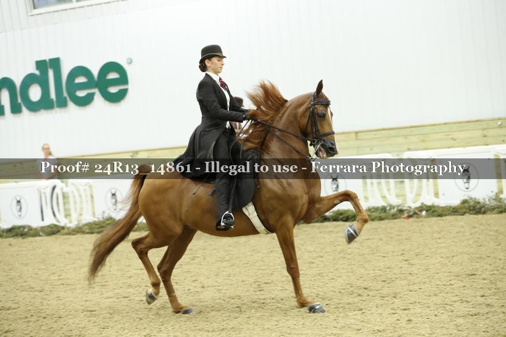 Proof 24R13_14861
