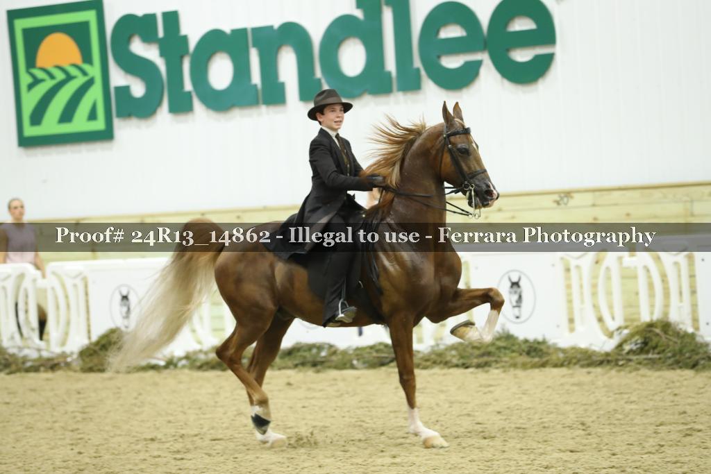 Proof 24R13_14862