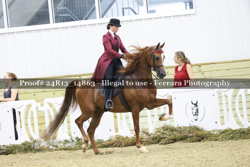 Proof 24R13_14863