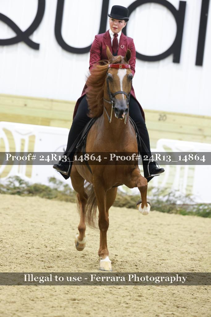 Proof 24R13_14864