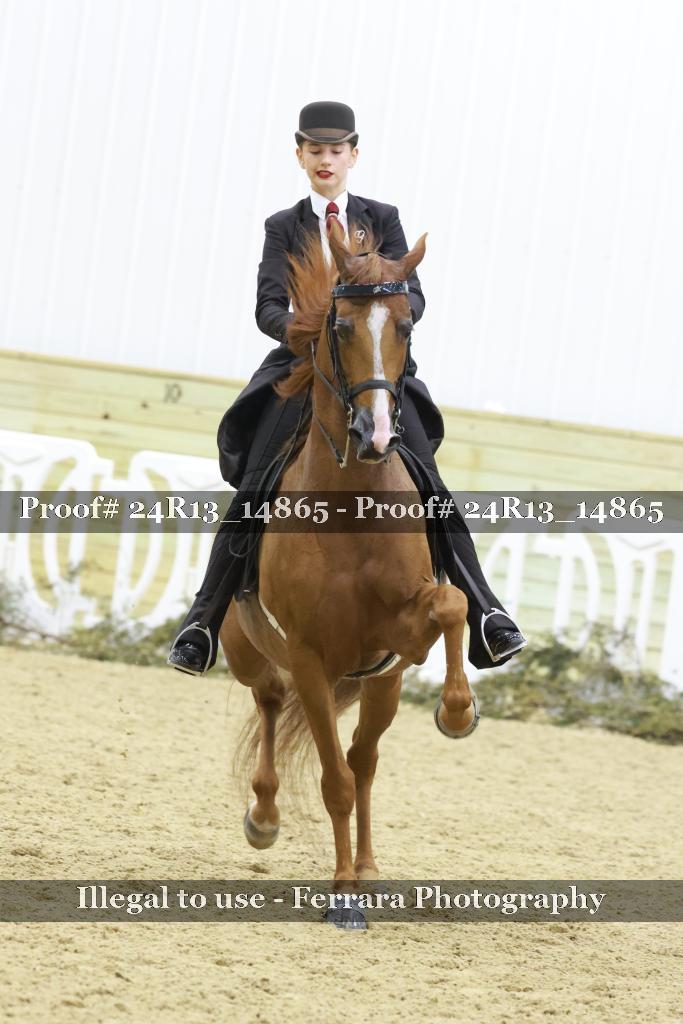 Proof 24R13_14865