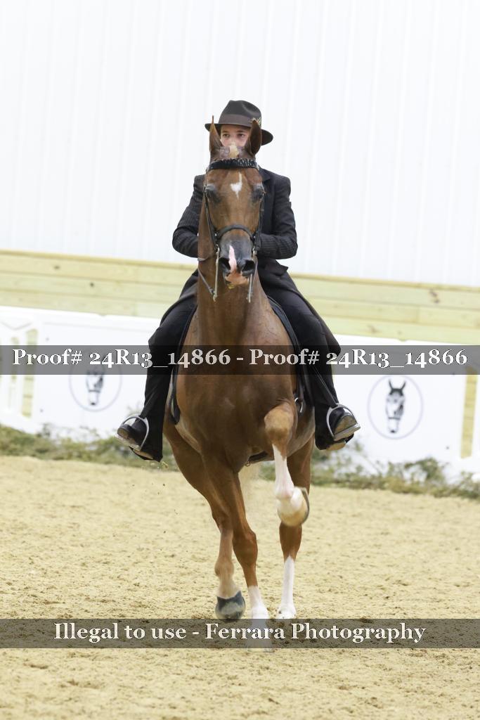 Proof 24R13_14866