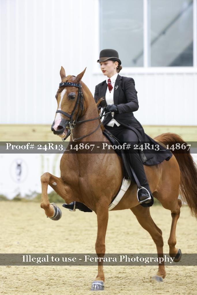 Proof 24R13_14867