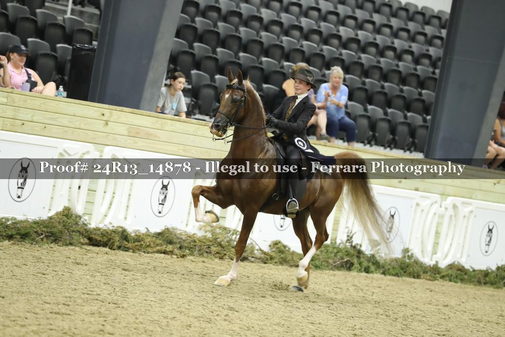 Proof 24R13_14878