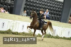 24R13_14878 proof