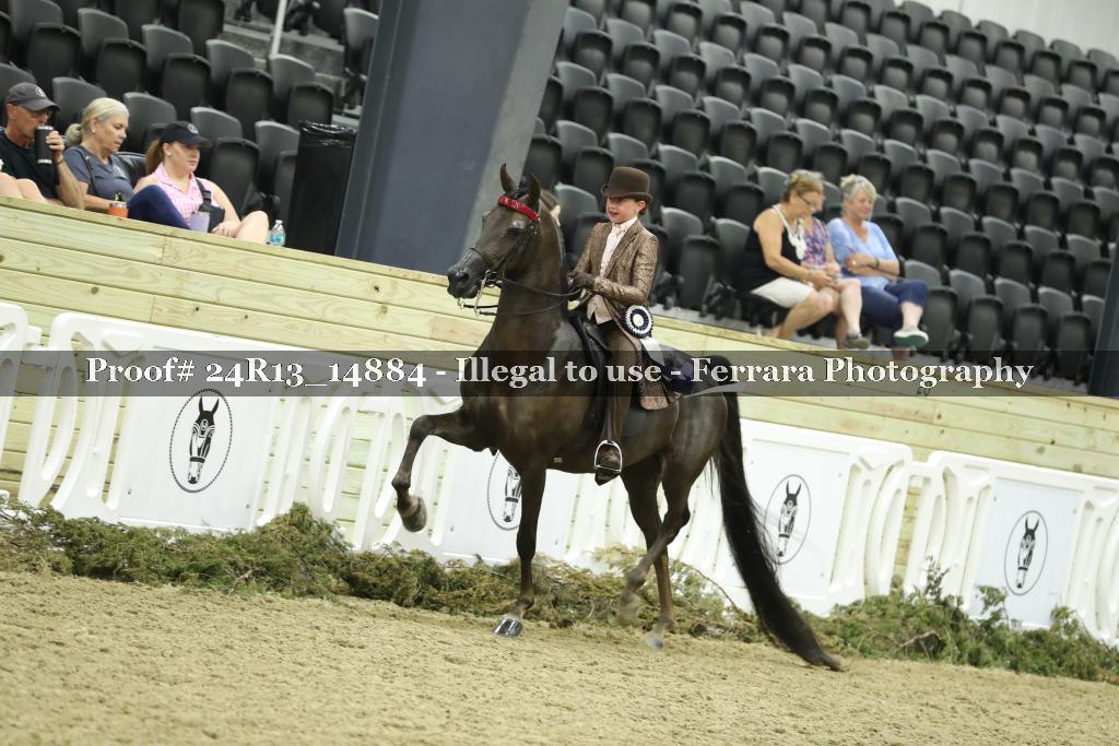 Proof 24R13_14884