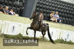 24R13_14884 proof
