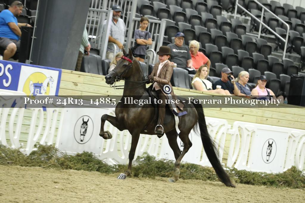 Proof 24R13_14885