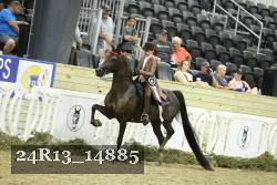 24R13_14885 proof