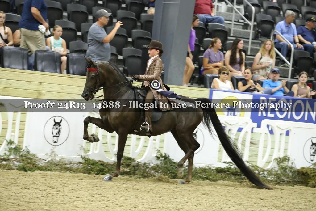 Proof 24R13_14888