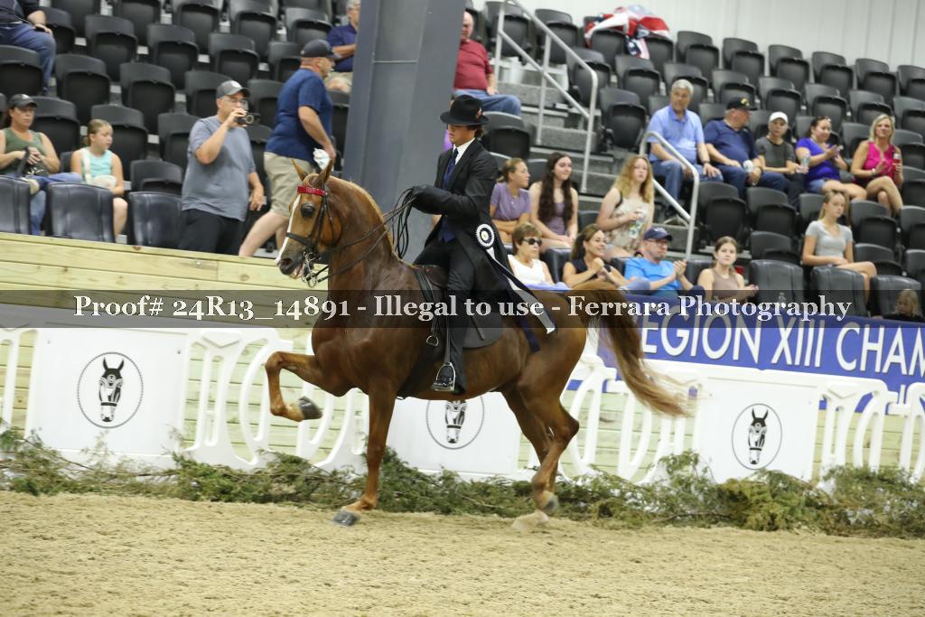 Proof 24R13_14891