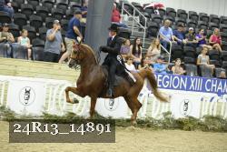 24R13_14891 proof