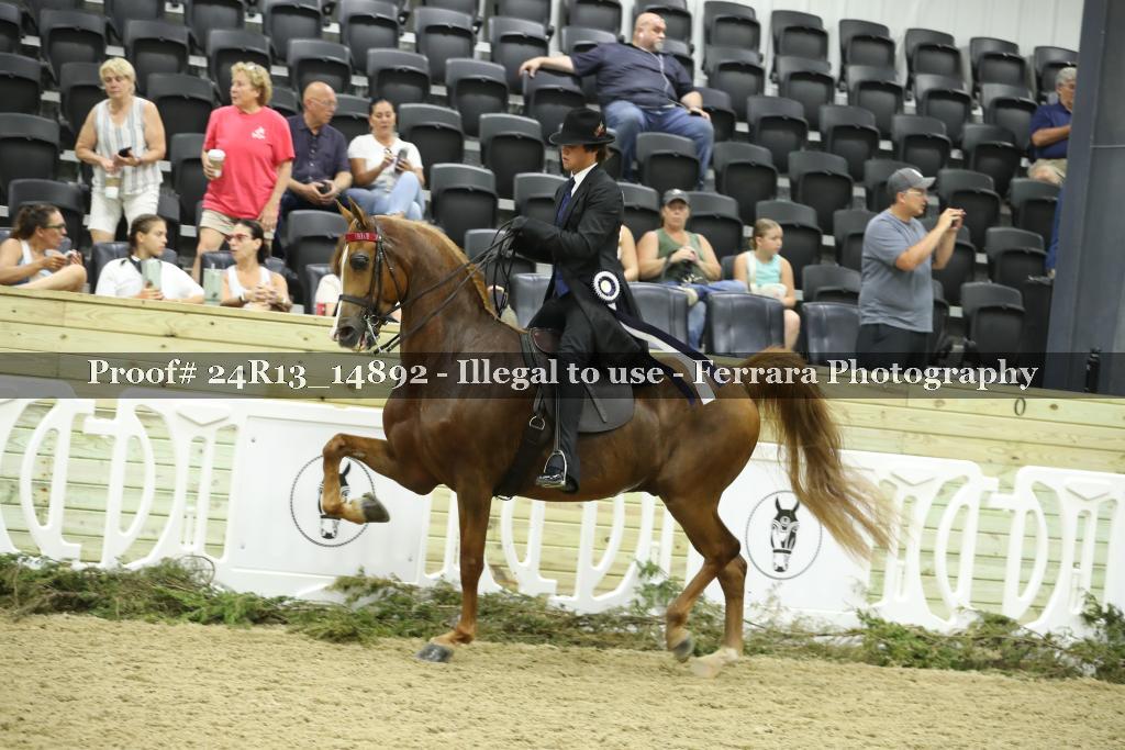 Proof 24R13_14892