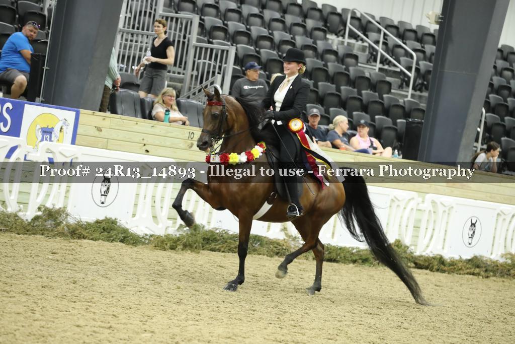 Proof 24R13_14893