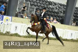 24R13_14893 proof