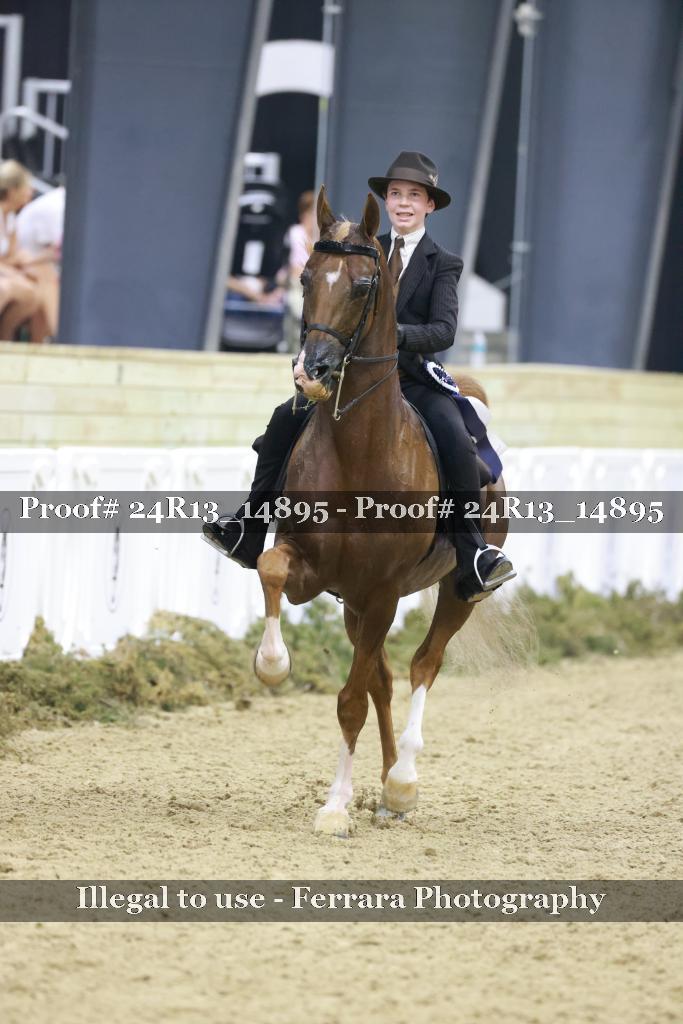 Proof 24R13_14895