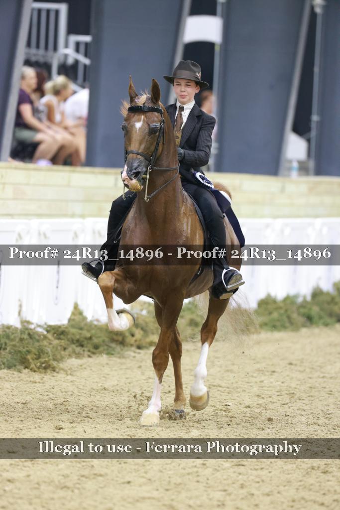 Proof 24R13_14896