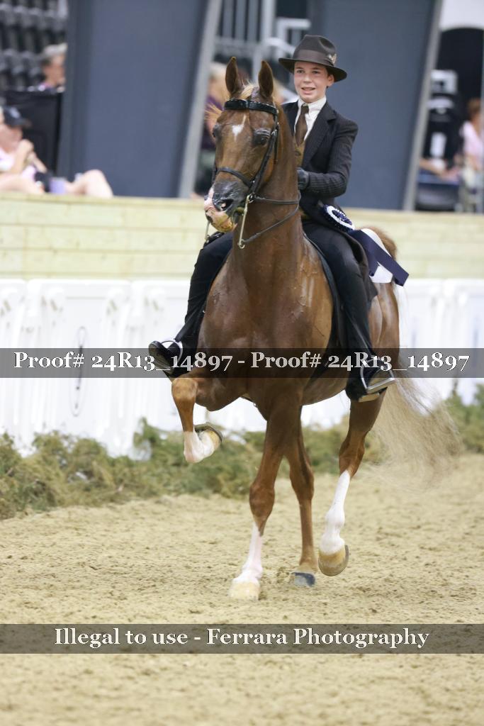 Proof 24R13_14897