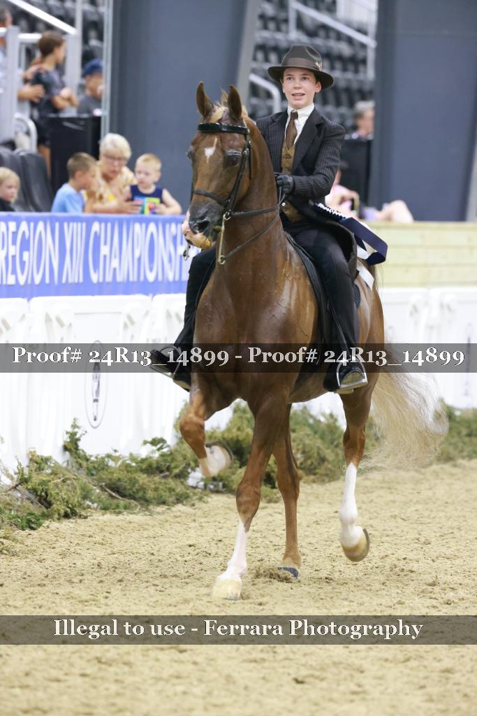 Proof 24R13_14899