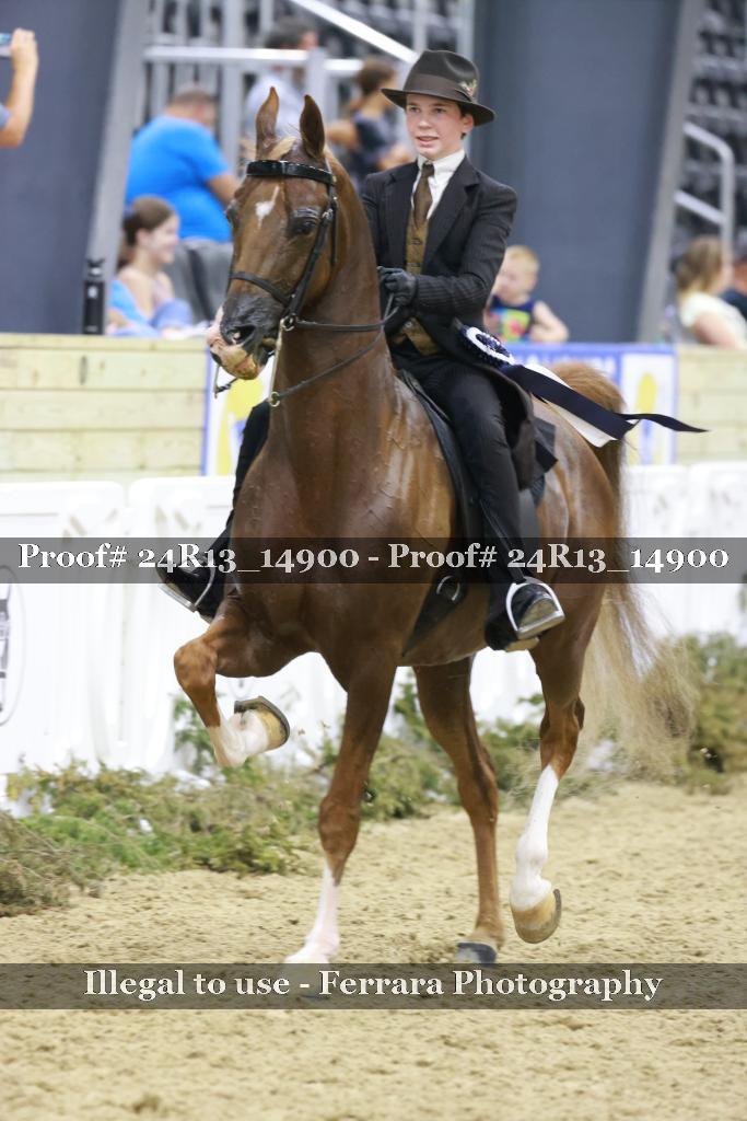 Proof 24R13_14900