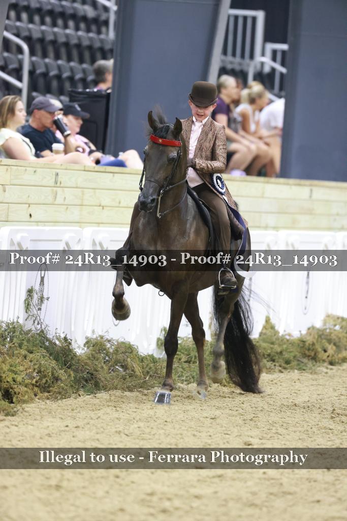 Proof 24R13_14903