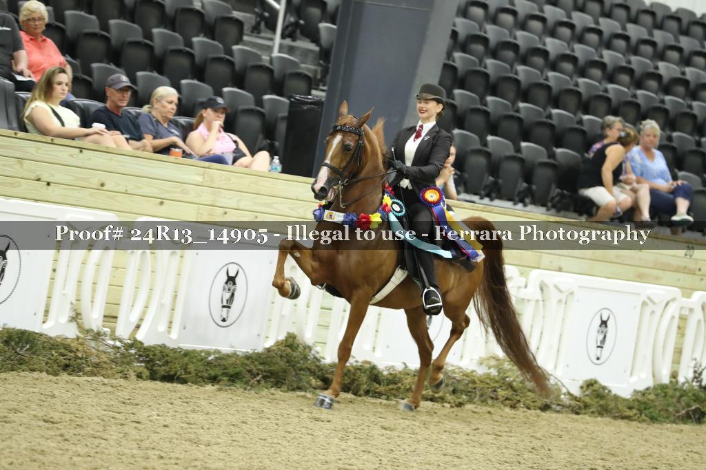 Proof 24R13_14905