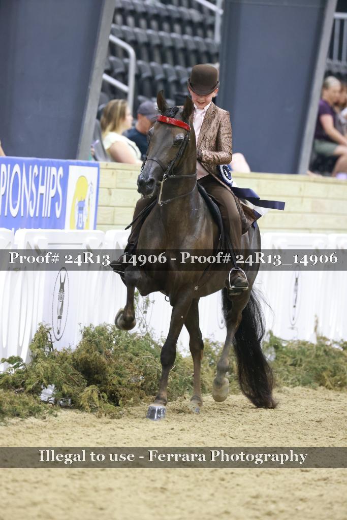 Proof 24R13_14906