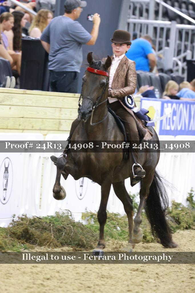 Proof 24R13_14908