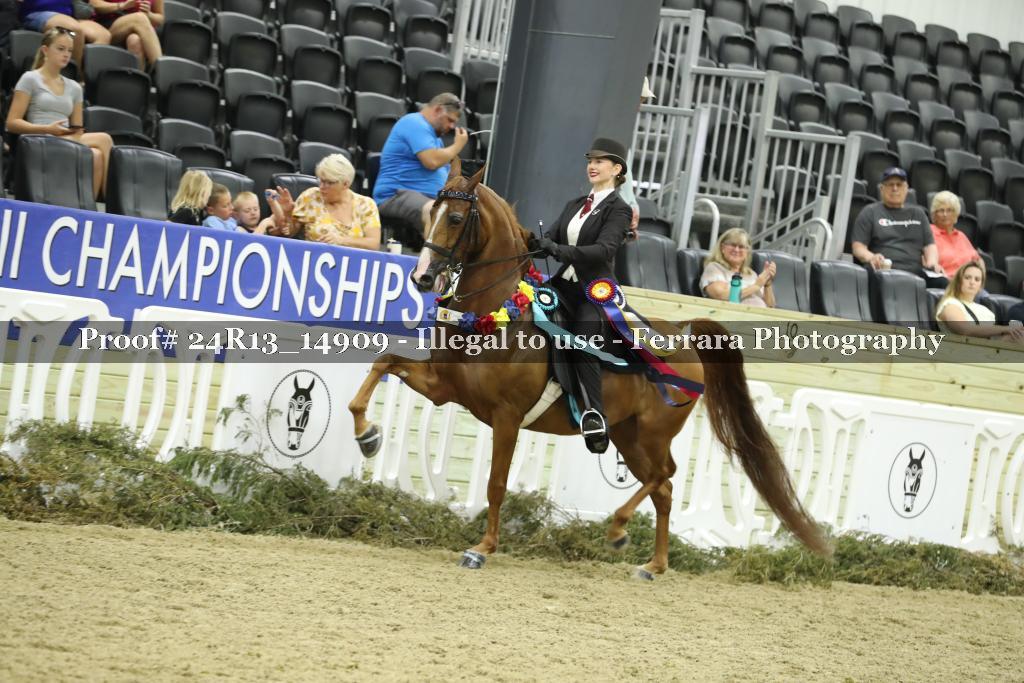Proof 24R13_14909
