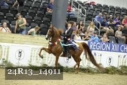 24R13_14911 proof