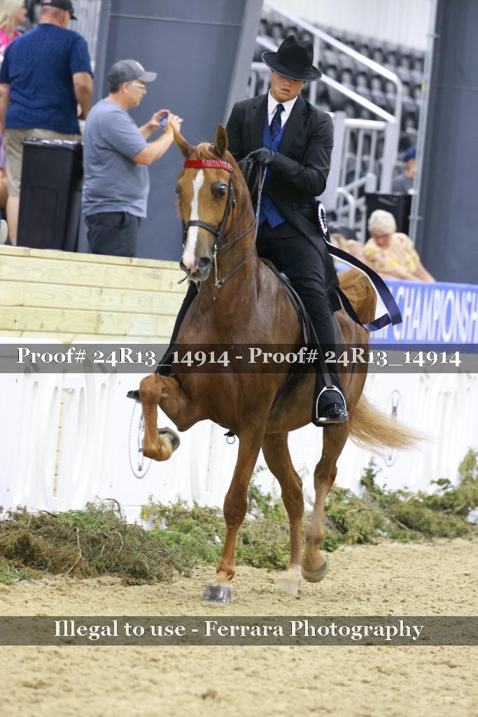 Proof 24R13_14914