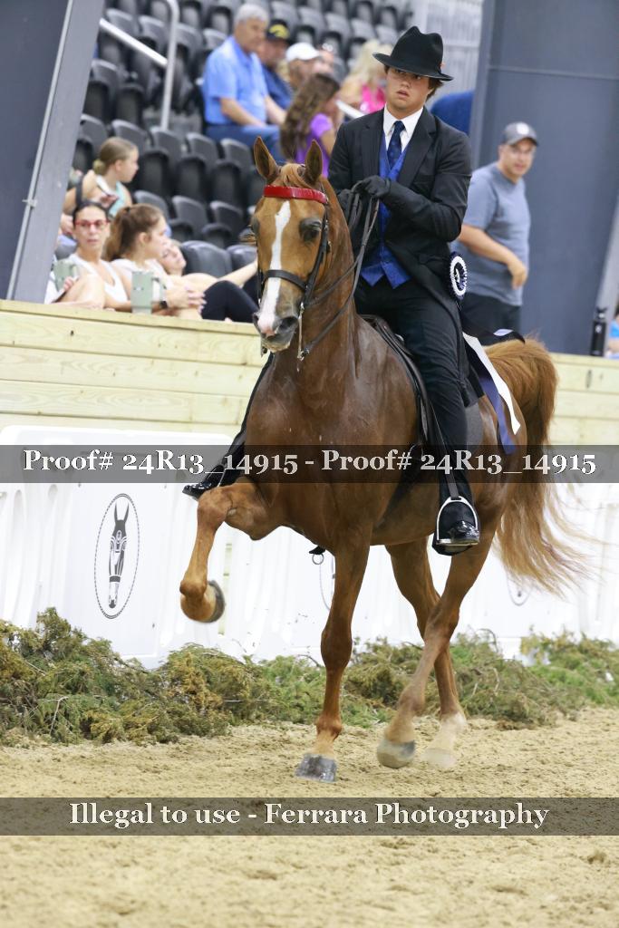 Proof 24R13_14915