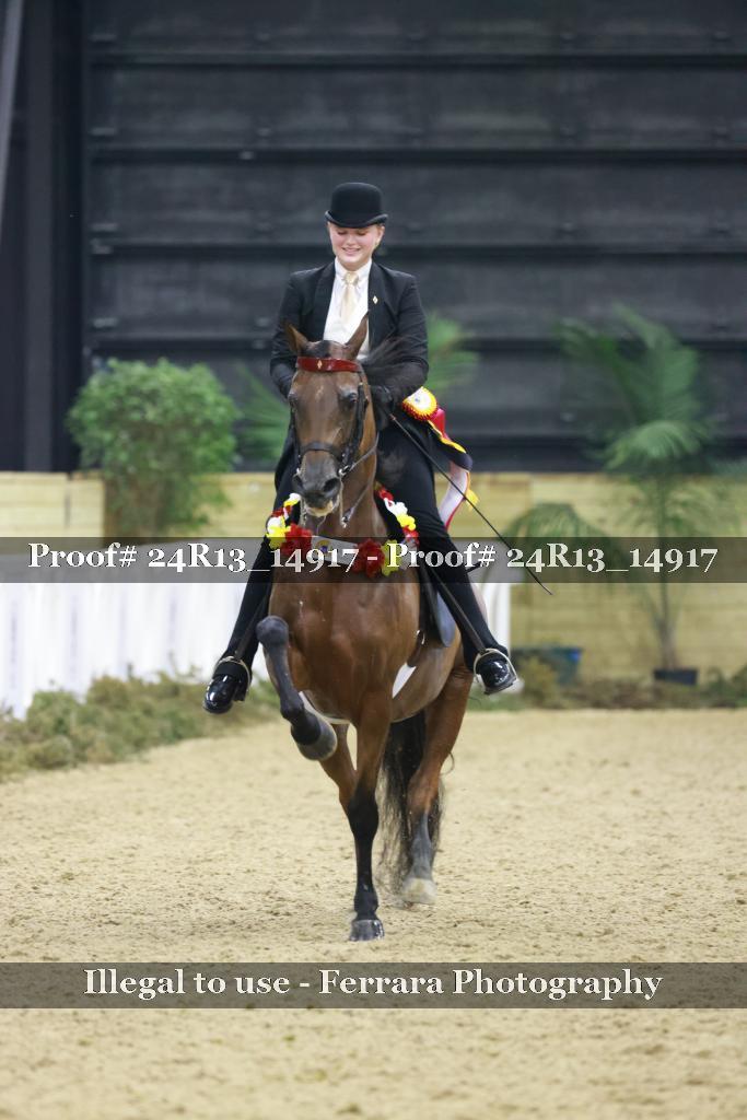 Proof 24R13_14917