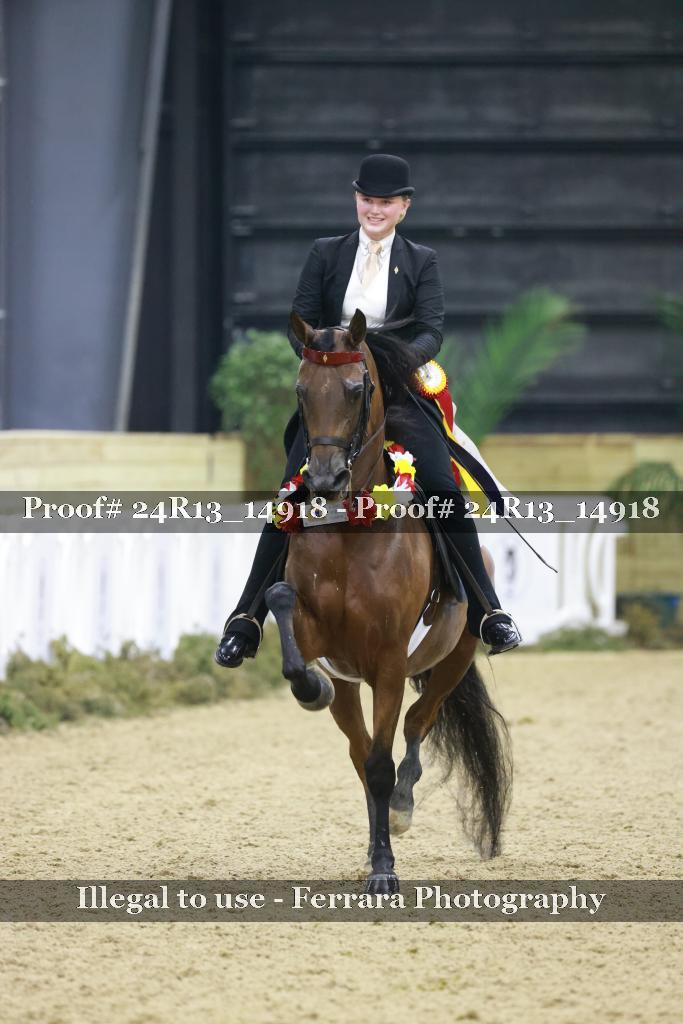 Proof 24R13_14918