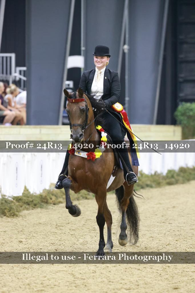 Proof 24R13_14920