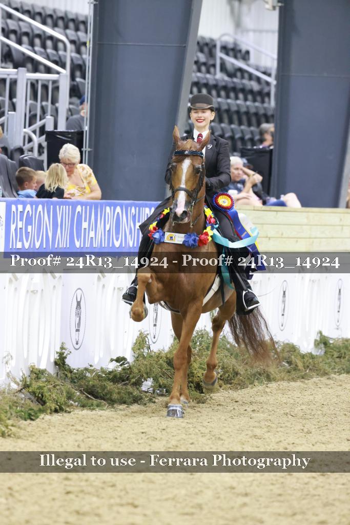 Proof 24R13_14924