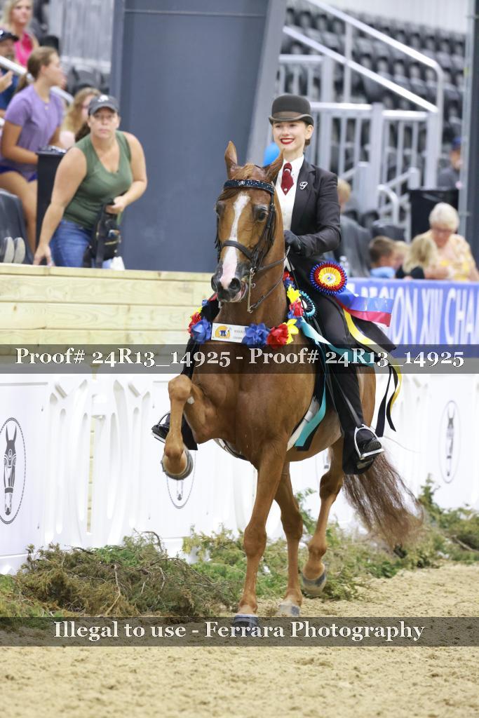 Proof 24R13_14925