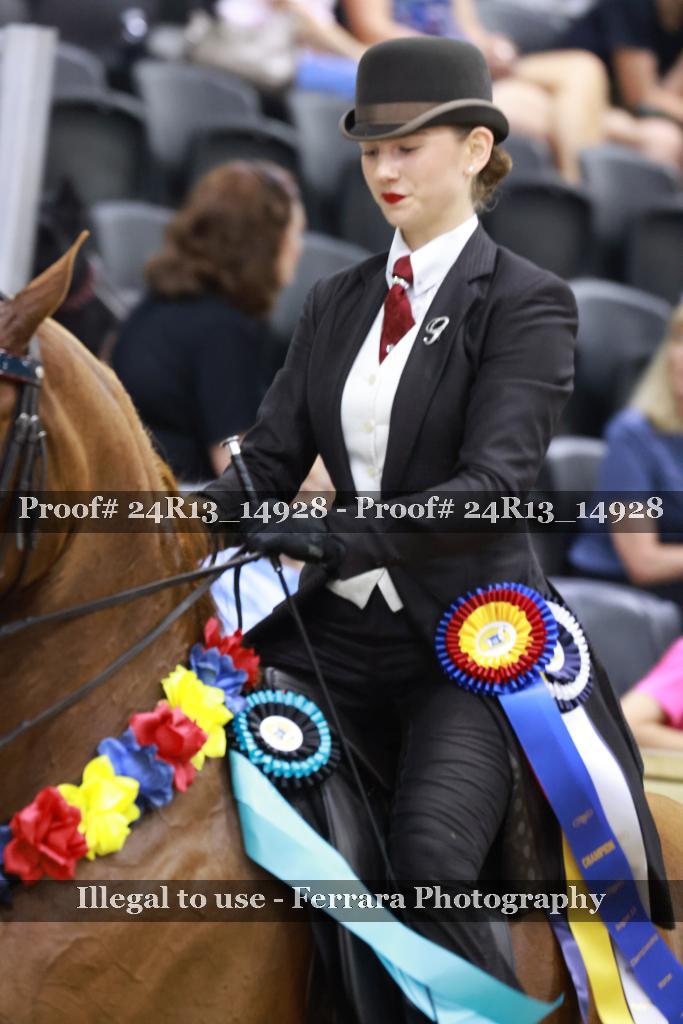Proof 24R13_14928