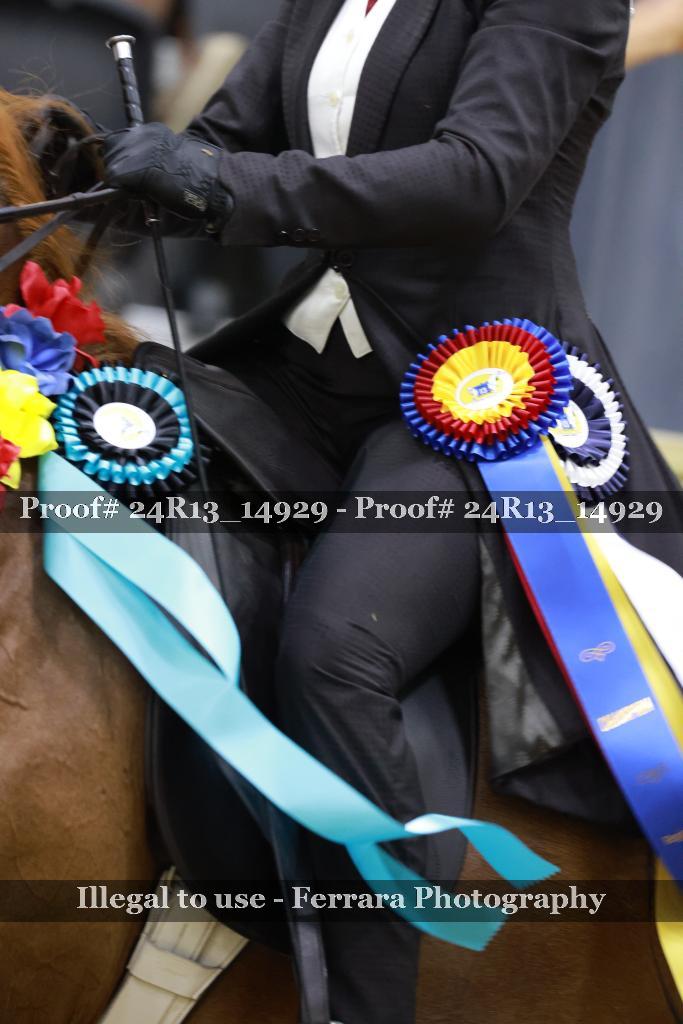 Proof 24R13_14929