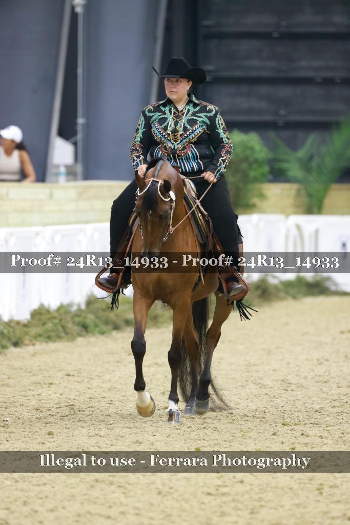 Proof 24R13_14933