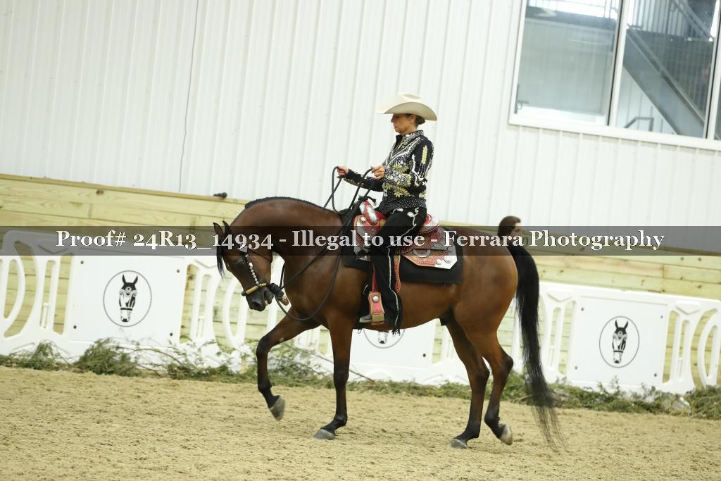 Proof 24R13_14934