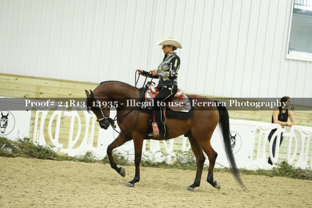 Proof 24R13_14935
