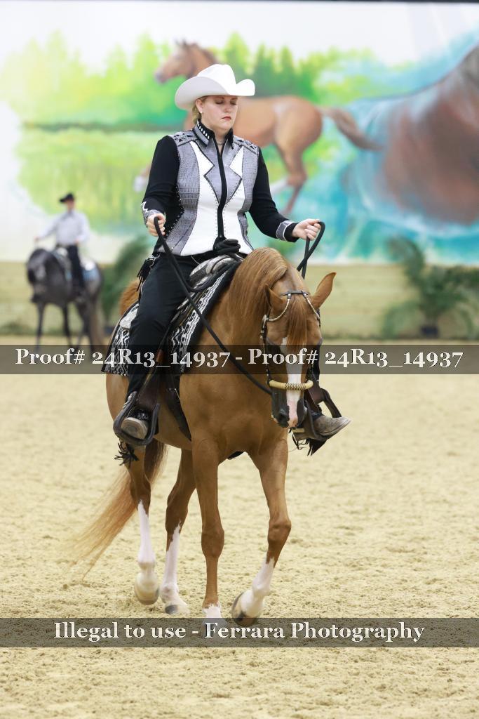 Proof 24R13_14937
