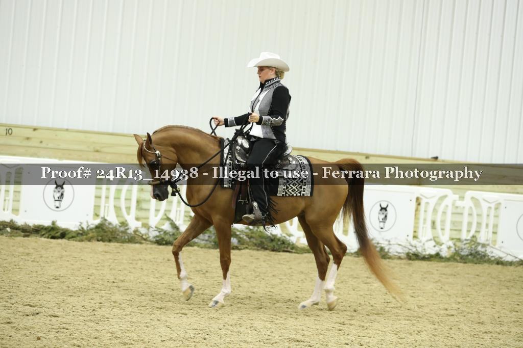 Proof 24R13_14938