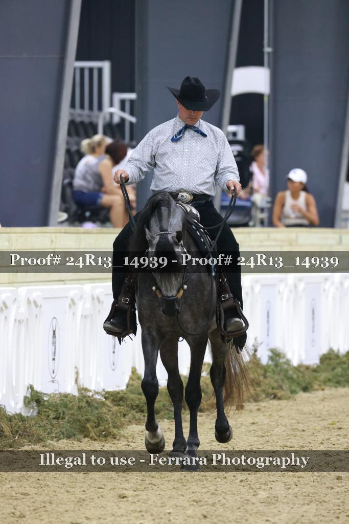 Proof 24R13_14939