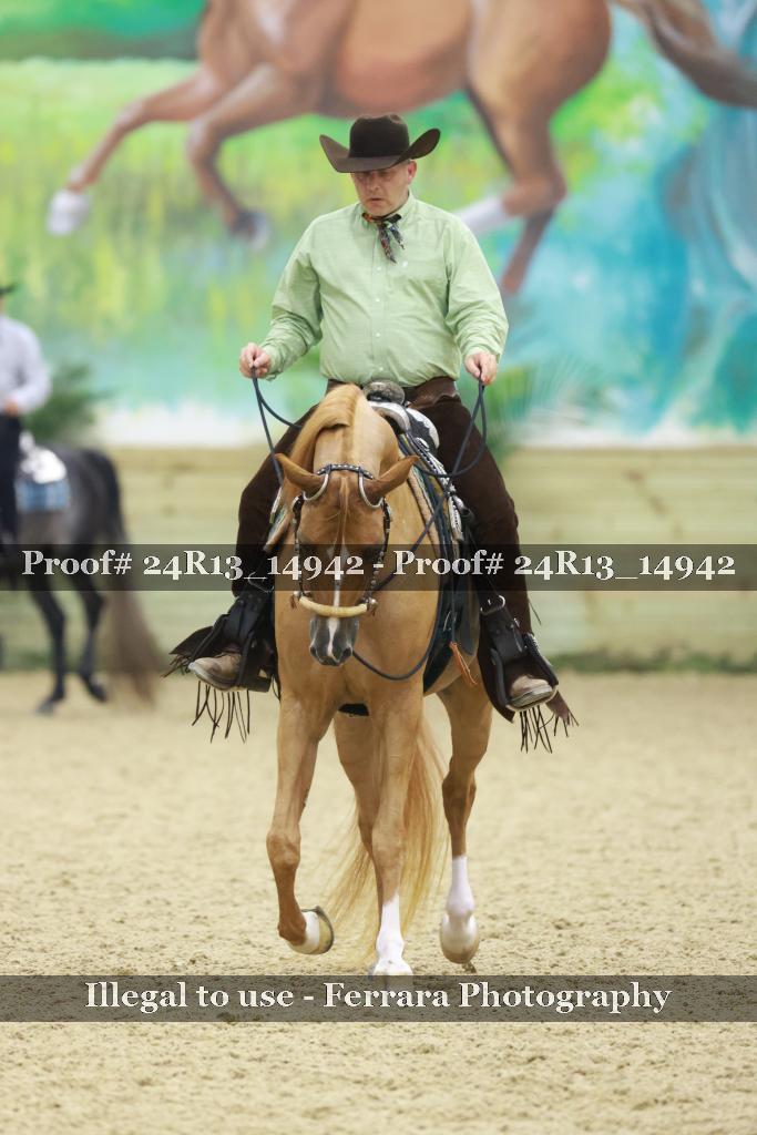 Proof 24R13_14942