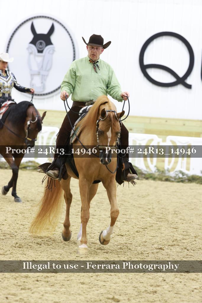 Proof 24R13_14946