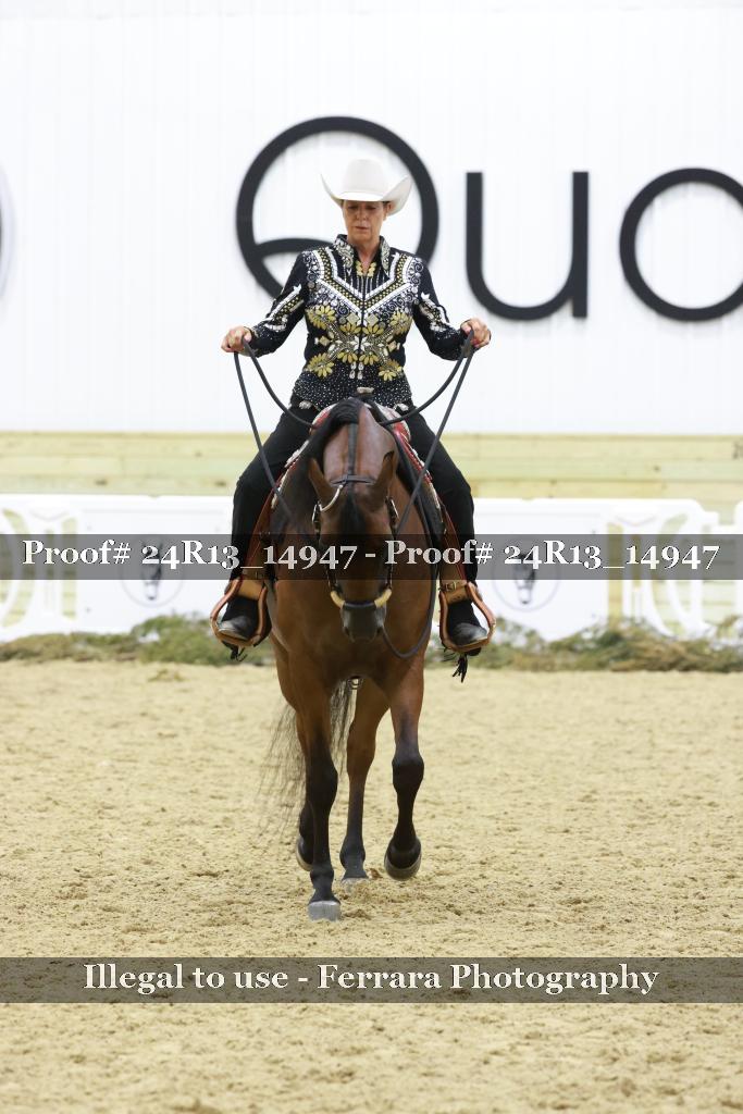 Proof 24R13_14947