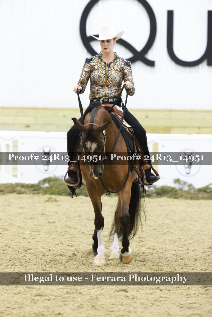 Proof 24R13_14951
