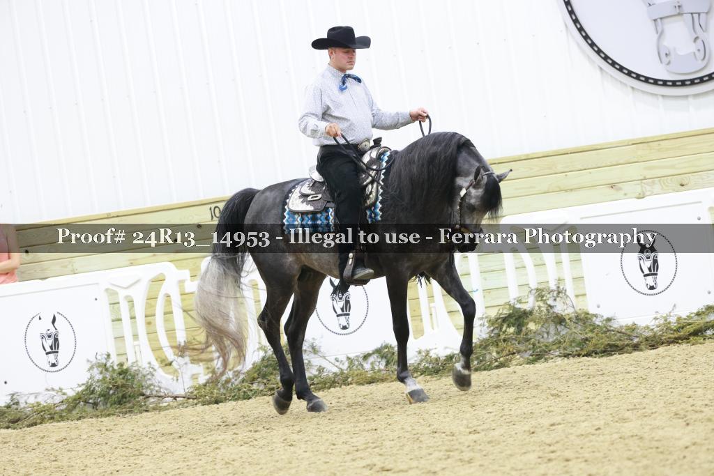 Proof 24R13_14953